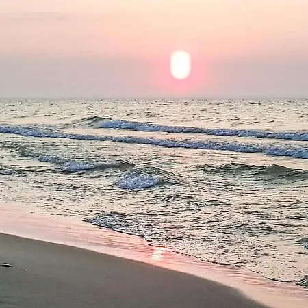 Akacjowa *